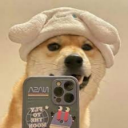 hy2639273